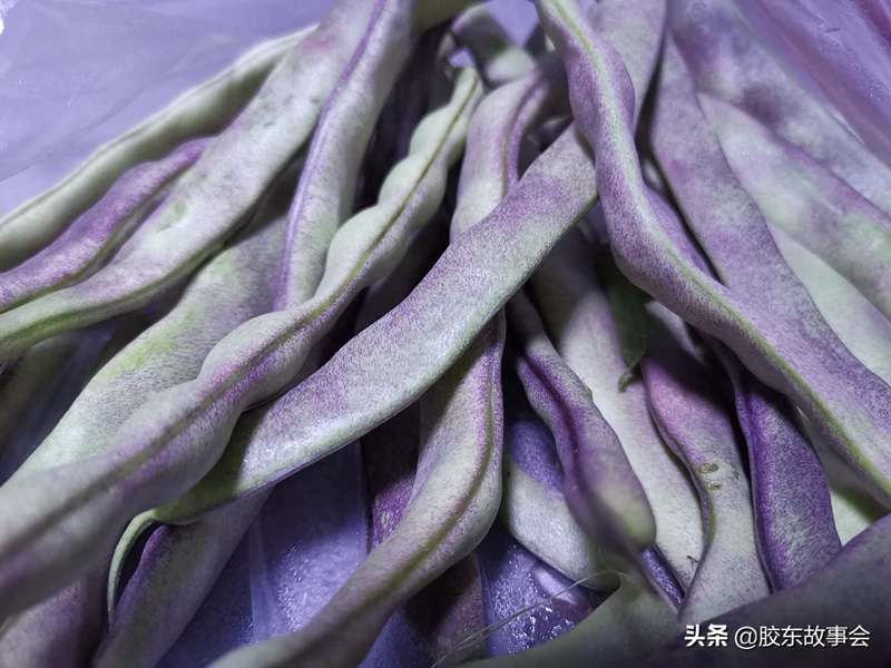 两种胶东风味的秋芸豆吃法:肉炒芸豆丝和芸豆打卤面