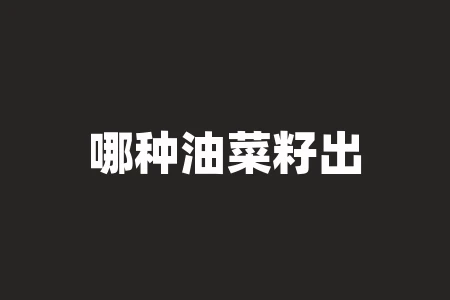 哪种油菜籽出油率高?中国最好的油菜籽品种? 哪种油菜籽出油率高?中国最好的油菜籽品种?
