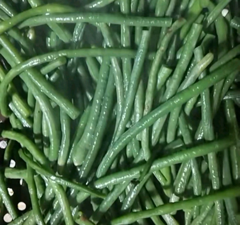 这样制作芸豆角！馋哭了隔壁的主妇