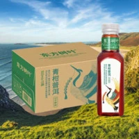NONGFU SPRING 农夫山泉 东方树叶 500ml*12瓶