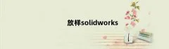 放样solidworks