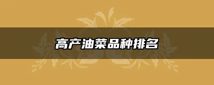 高产油菜品种排名