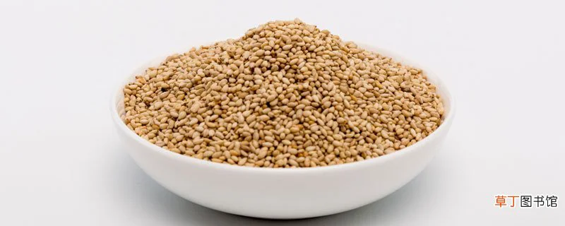 1斤芝麻出多少油?