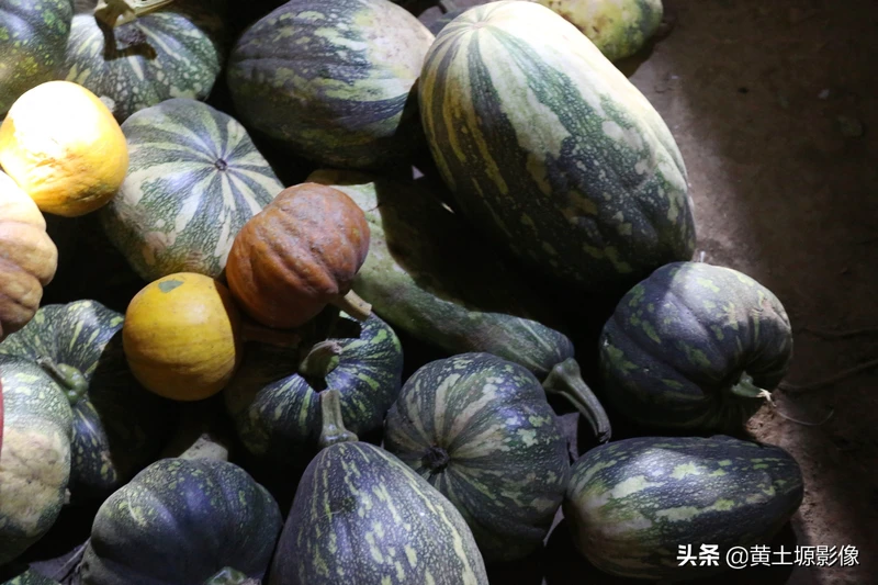 农村原来常见的一植物能榨油能治病,如今成了“稀罕物”,是个啥