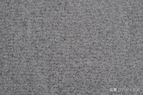 江西都昌芝麻白
