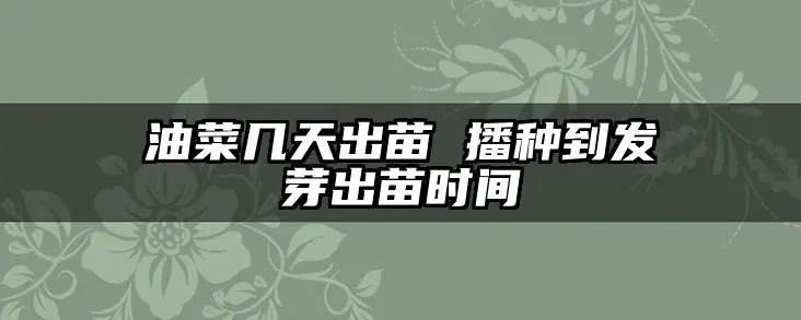 油菜几天出苗 播种到发芽出苗时间