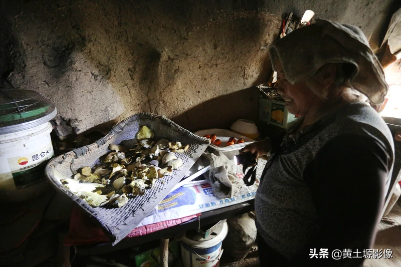 农村原来常见的一植物能榨油能治病,如今成了“稀罕物”,是个啥