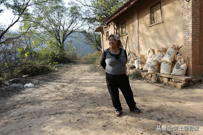 农村原来常见的一植物能榨油能治病,如今成了“稀罕物”,是个啥