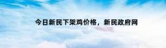今日新民下架鸡价格，新民政府网