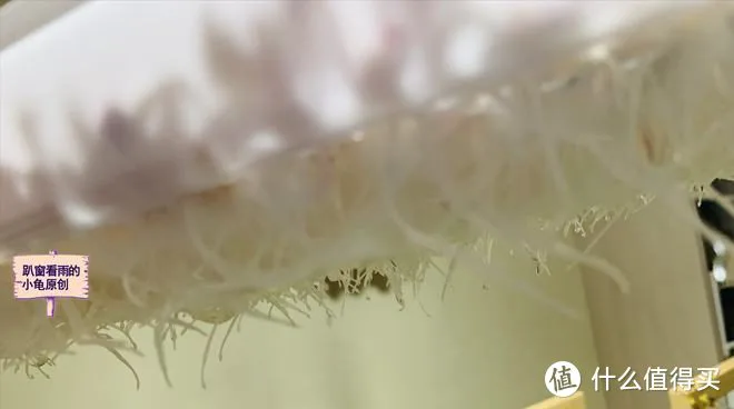 “春吃芽,鲜掉牙”,鲜香又嫩,既顺应时节,又鼓励生发之气,倍益健康