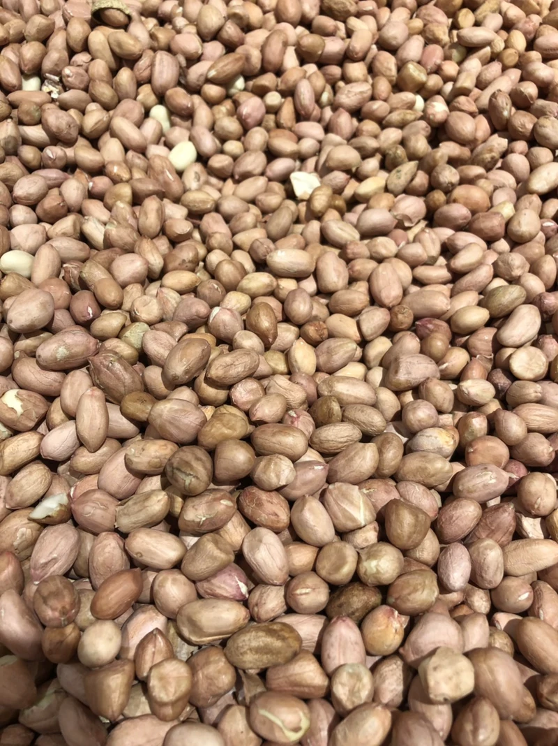 100斤出多少花生(一百斤花生出多少花生饼)