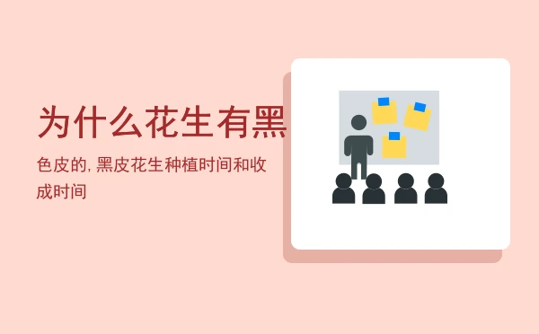 为什么花生有黑色皮的,黑皮花生种植时间和收成时间