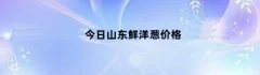 今日山东鲜洋葱价格（山东今天洋葱最新价格行情）