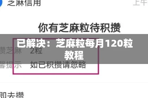 已解决：芝麻粒每月120粒教程