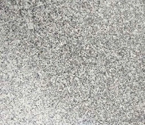 江西都昌芝麻白
