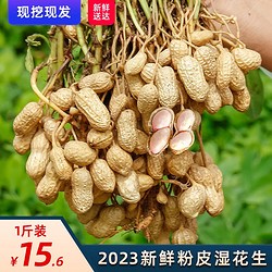 2023新鲜现挖湿花生 带壳生花生1斤装