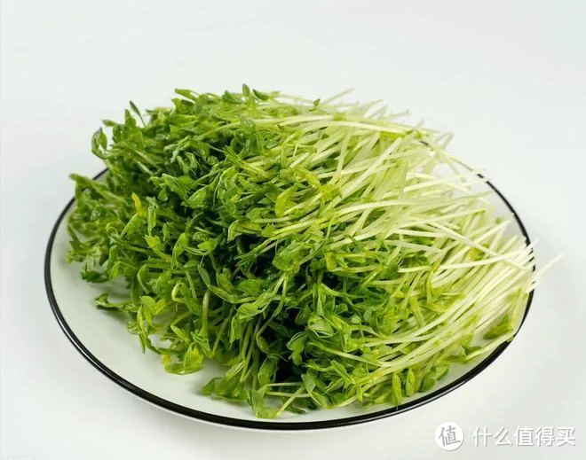 “春吃芽,鲜掉牙”,鲜香又嫩,既顺应时节,又鼓励生发之气,倍益健康