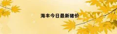 海丰今日最新猪价