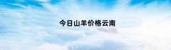 今日山羊价格云南（云南山羊价格今日羊价格表）