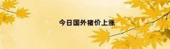 今日国外猪价上涨（国外猪价走势）