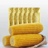 农投康良 东北黄糯玉米 250g*10棒