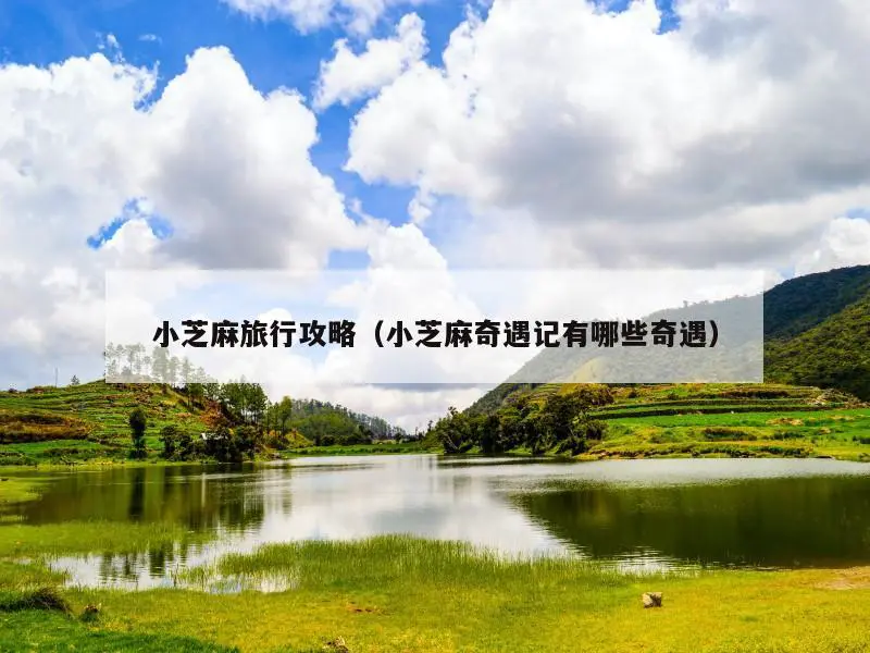 小芝麻旅行攻略（小芝麻奇遇记有哪些奇遇）
