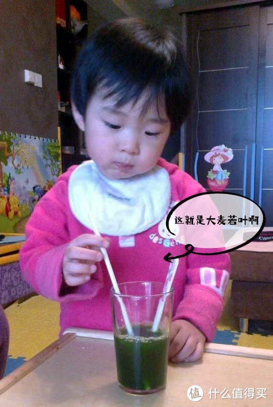 小麦打汁,你说这是不是就是大麦若叶?