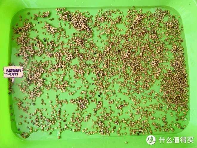 “春吃芽,鲜掉牙”,鲜香又嫩,既顺应时节,又鼓励生发之气,倍益健康
