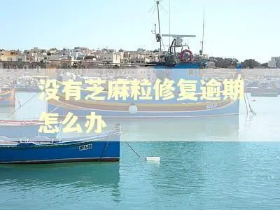 没有芝麻粒修复逾期怎么办