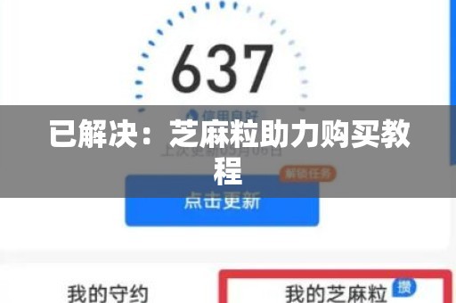 已解决：芝麻粒助力购买教程