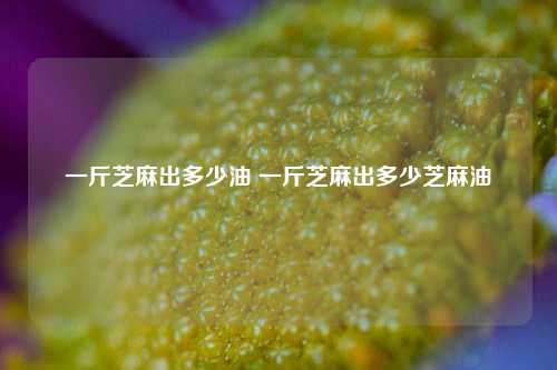 一斤芝麻出多少油 一斤芝麻出多少芝麻油