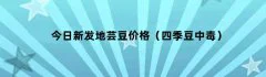 今日新发地芸豆价格（四季豆中毒）