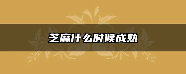 芝麻什么时候成熟