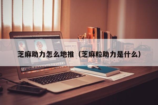 芝麻助力怎么地推（芝麻粒助力是什么）