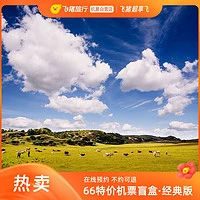 每天10点补库存！飞猪66特价机票卡经典版机票盲盒0元兑飞全国