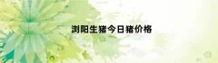 浏阳生猪今日猪价格