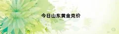 今日山东黄金克价（山东黄金金价今日价格）