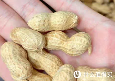 蒜香味的花生，口感好，吃起来不腻