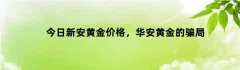 今日新安黄金价格，华安黄金的骗局