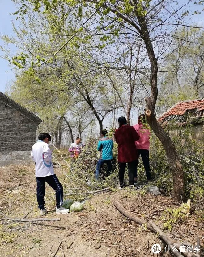“春吃芽,鲜掉牙”,鲜香又嫩,既顺应时节,又鼓励生发之气,倍益健康
