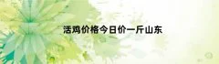 活鸡价格今日价一斤山东