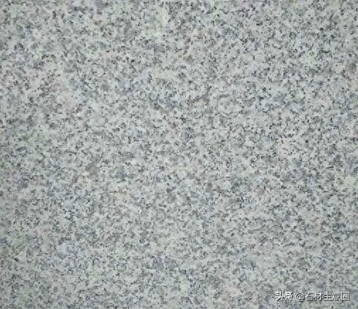 江西都昌芝麻白