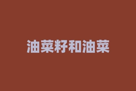 油菜籽和油菜的区别:你知道吗? 油菜籽和油菜的区别:你知道吗?