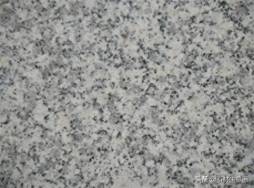 江西都昌芝麻白