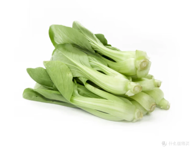 吃了那么多年青菜，你了解多少？青菜大集合，买菜不烦恼