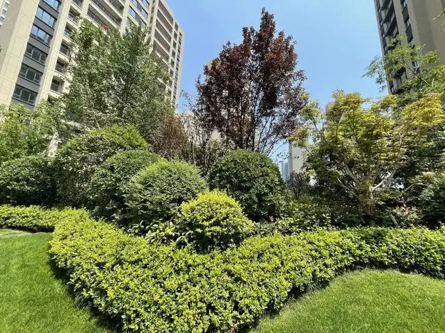 提前77天交付,万科在渭南盖房有多“卷”| 房哥验房报告52期