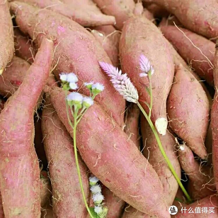 全国,最好吃的“红薯”在哪?网评这10种名气最大,你吃过哪几种