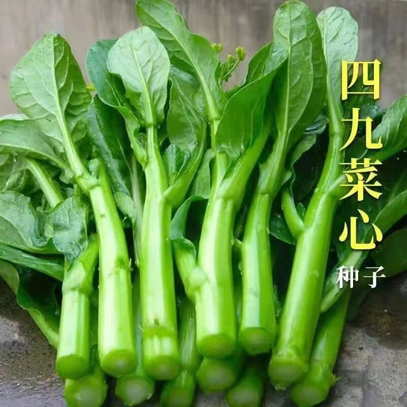 吃了那么多年青菜，你了解多少？青菜大集合，买菜不烦恼