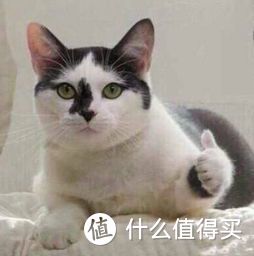 7款黑芝麻粉测评；史上最全黑芝麻粉测评来了！