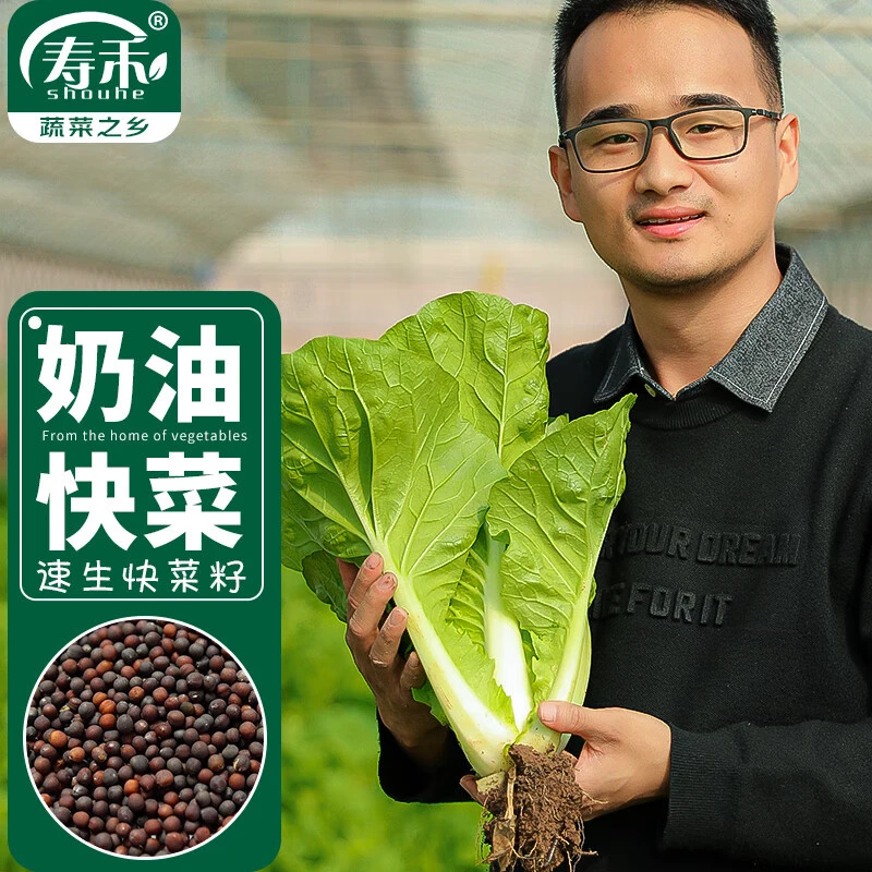 吃了那么多年青菜，你了解多少？青菜大集合，买菜不烦恼